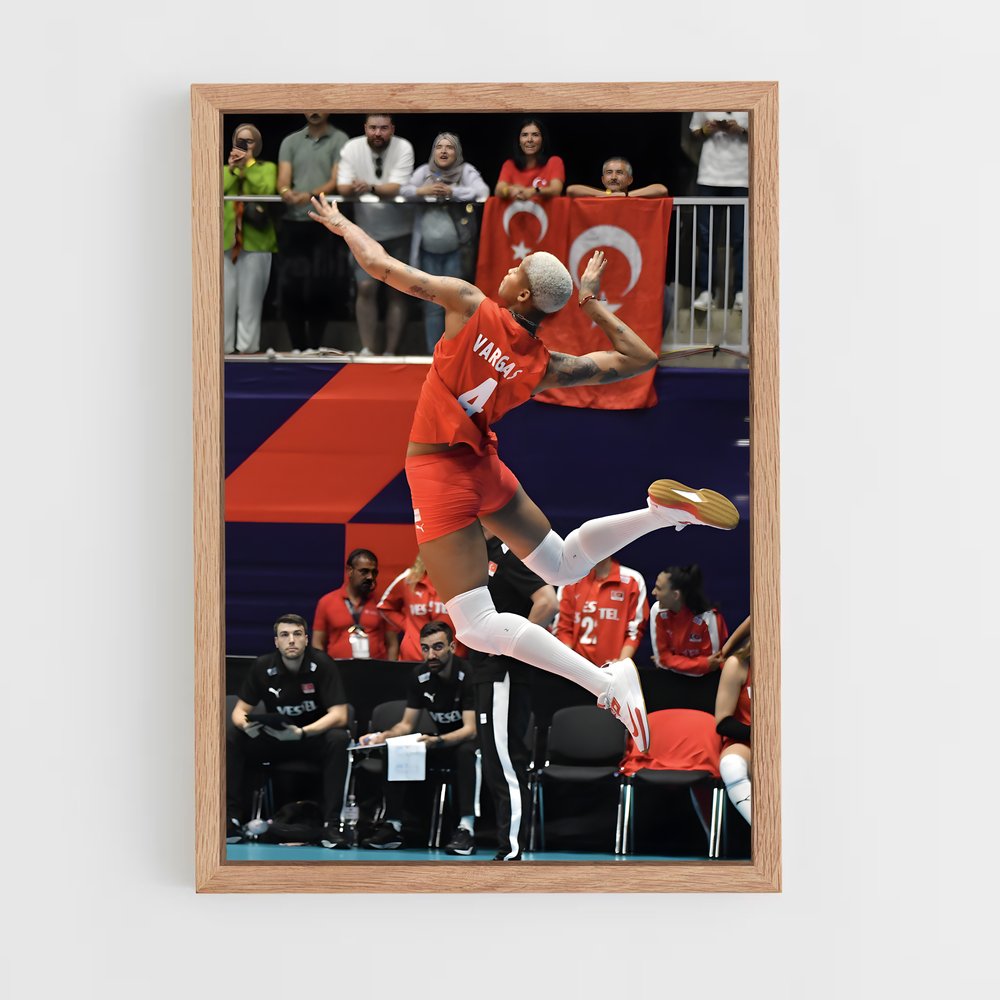 Poster Melissa vargas vivants – affiche Volleyball (vue 4)